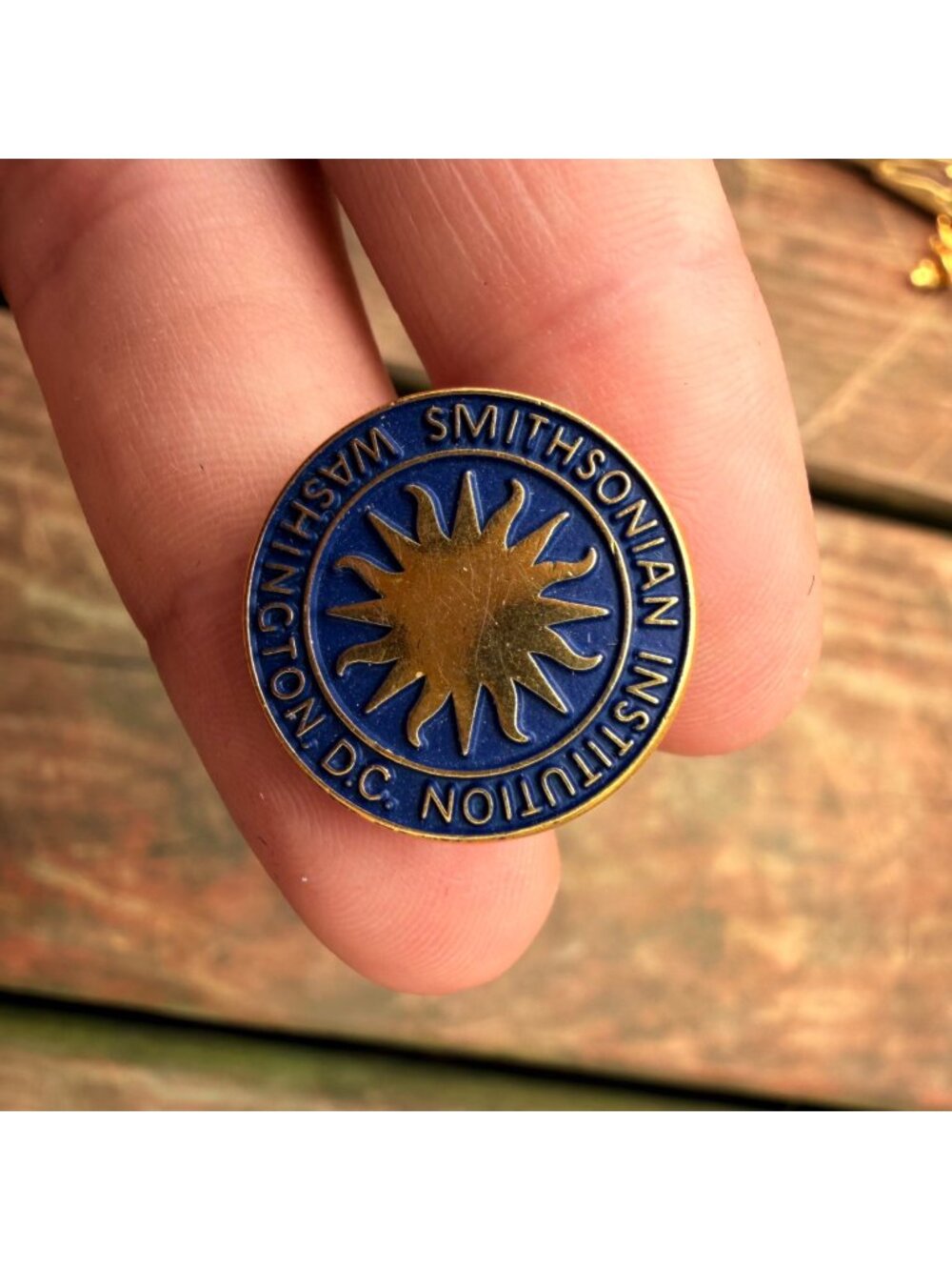 Smithsonian Institution Washington DC Lapel Pin